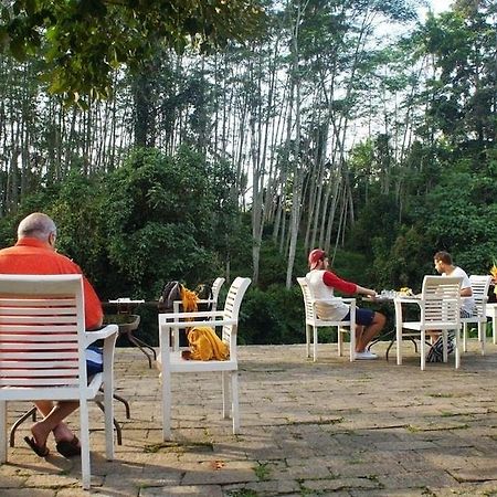 Yeh Panes Bali Hotel Marga Bagian luar foto