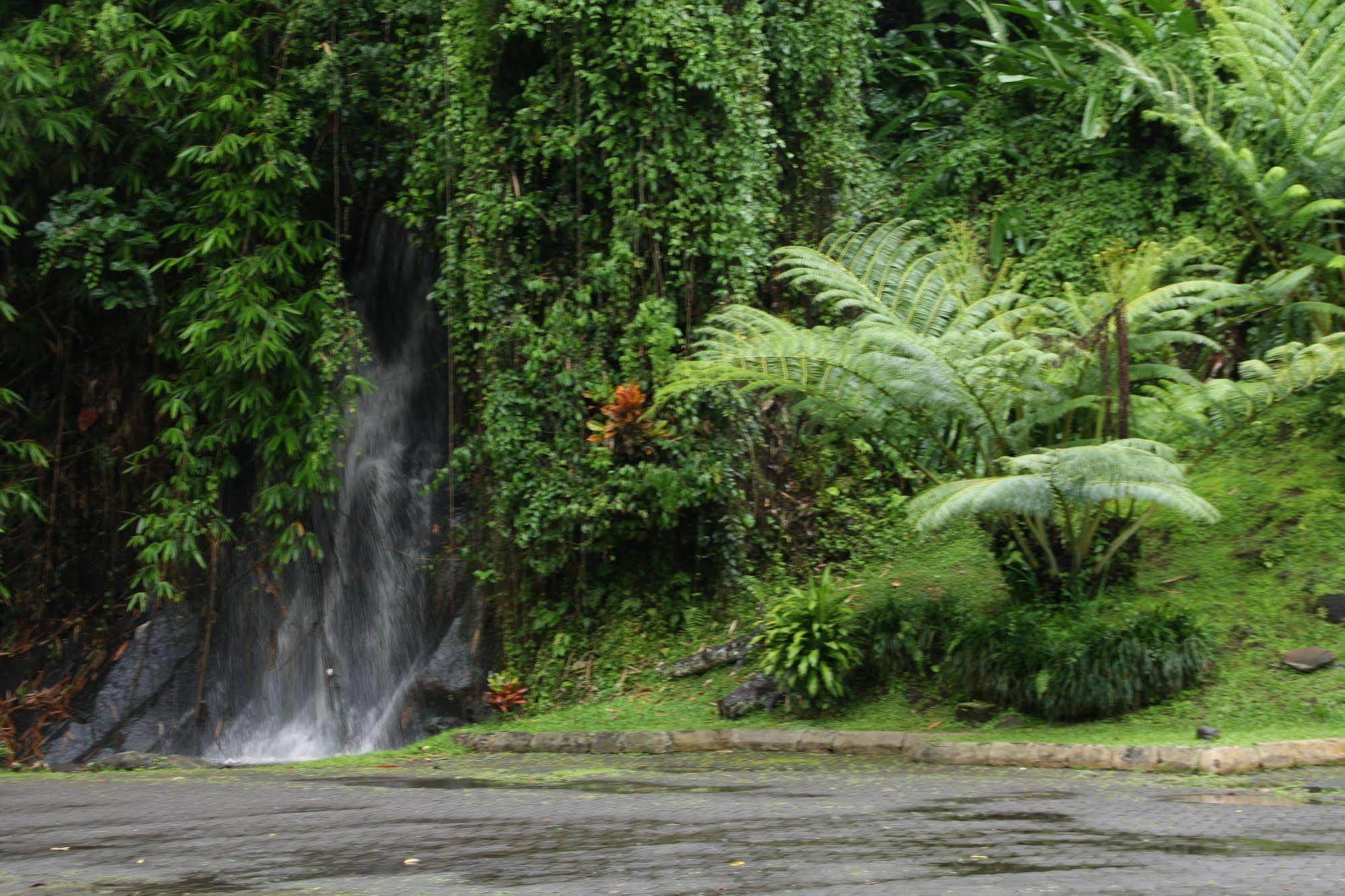 Yeh Panes Bali Hotel Marga Bagian luar foto